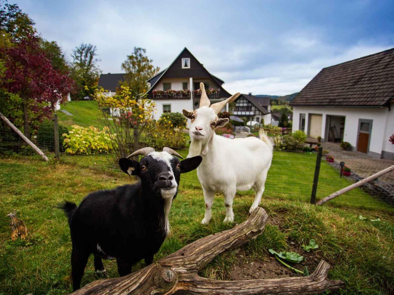 Kornkammer Schmallenberg Esterno foto