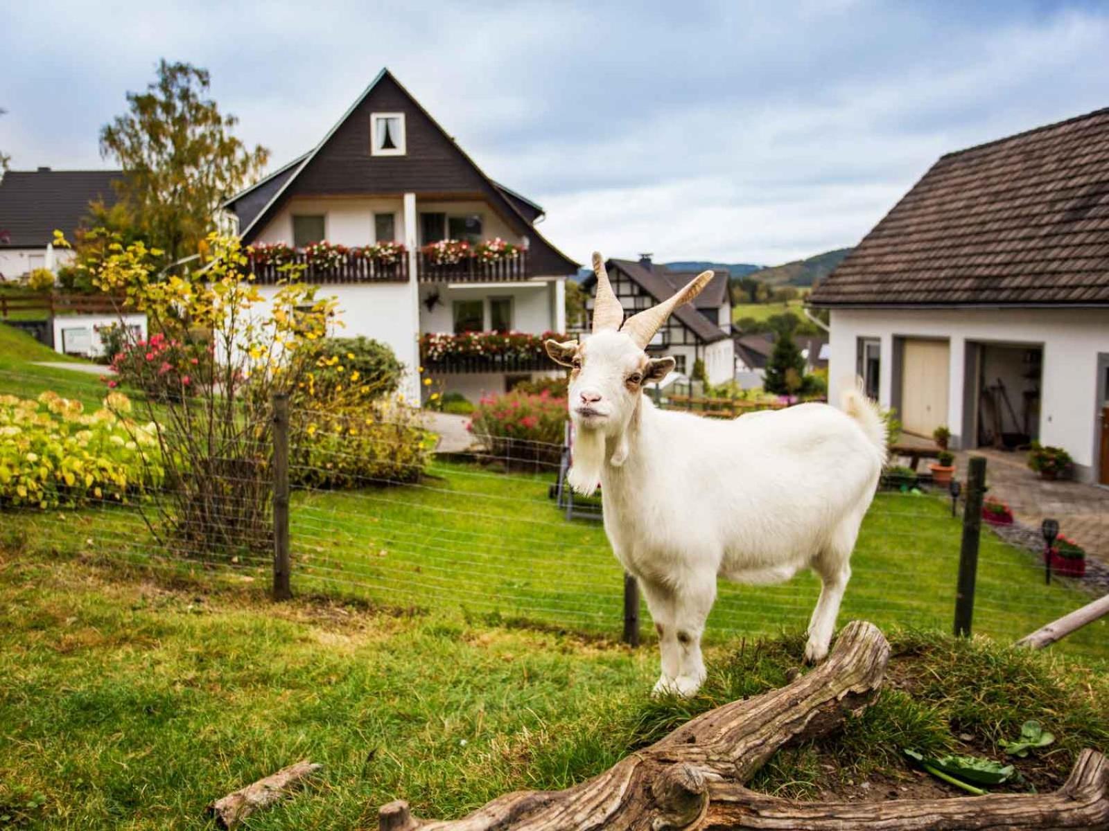 Kornkammer Schmallenberg Esterno foto